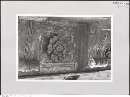 Vorderseite von bh536888_recto