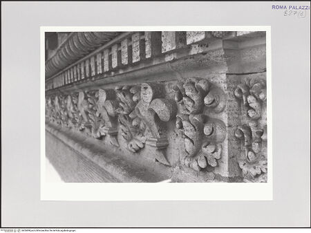 Vorderseite von bh536890_recto