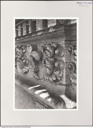 Vorderseite von bh536891_recto