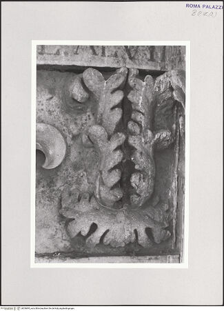 Vorderseite von bh536895_recto