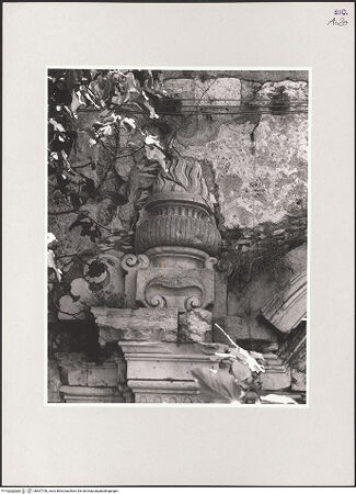 Vorderseite von Foto Marburg [https://www.deutsche-digitale-bibliothek.de/content/lizenzen/rv-ez/] Portal der Cittadella - Detail: Flammenurne, bh537746_recto. Foto: Tölke, Michael.