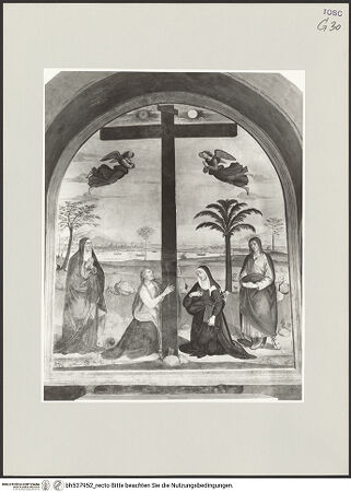 Vorderseite von bh537952_recto