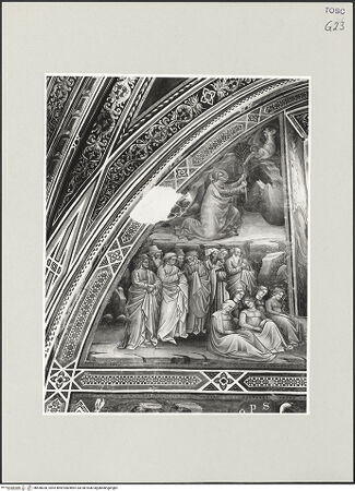 Vorderseite von bh538030_recto