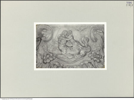 Vorderseite von bh538144_recto