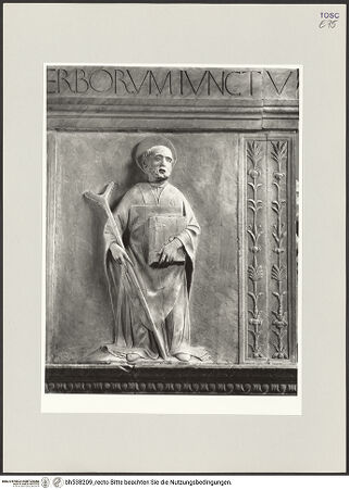 Vorderseite von bh538209_recto