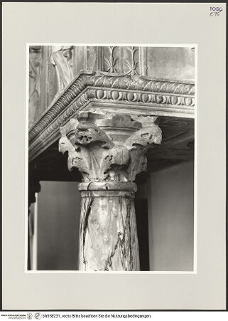 Vorderseite von bh538231_recto