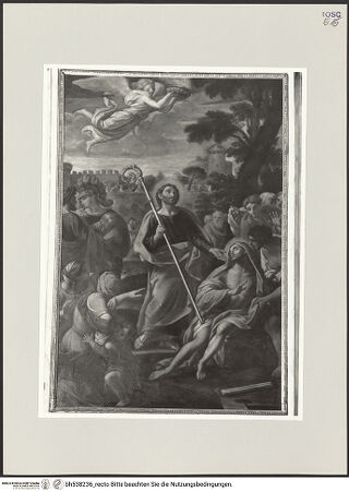 Vorderseite von bh538236_recto