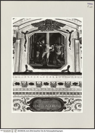 Vorderseite von bh538238_recto