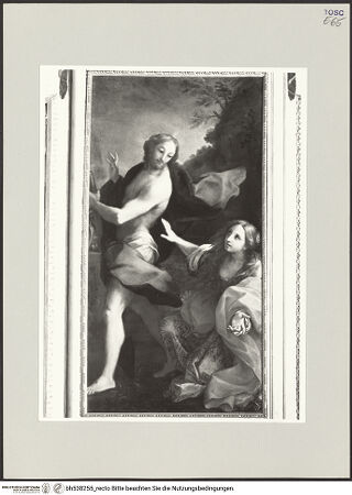 Vorderseite von bh538255_recto