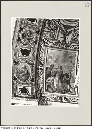 Vorderseite von bh538442_recto