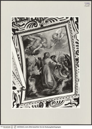 Vorderseite von bh538443_recto