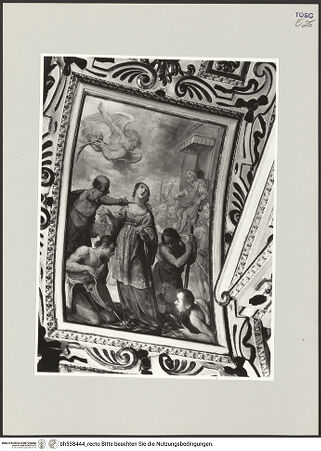 Vorderseite von bh538444_recto