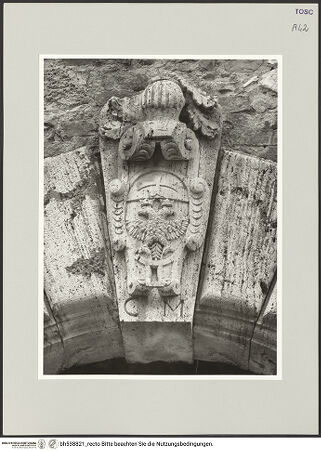 Vorderseite von bh538821_recto