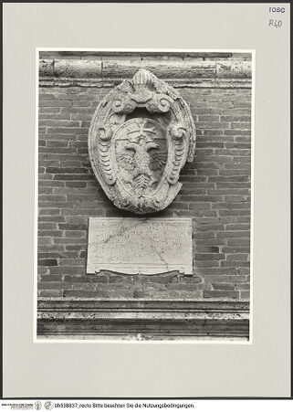 Vorderseite von bh538837_recto