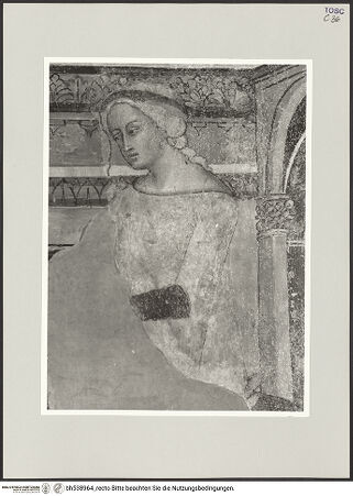 Vorderseite von bh538964_recto