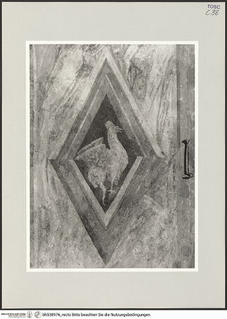 Vorderseite von bh538976_recto