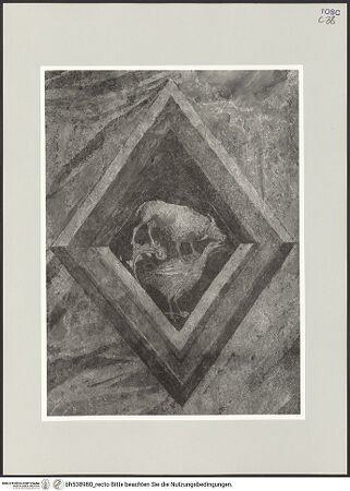 Vorderseite von bh538980_recto