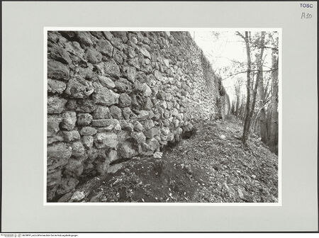 Vorderseite von bh538991_recto