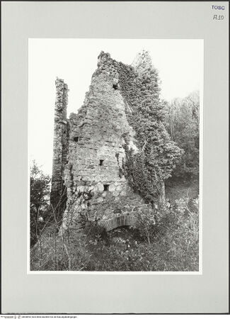 Vorderseite von bh538993_recto