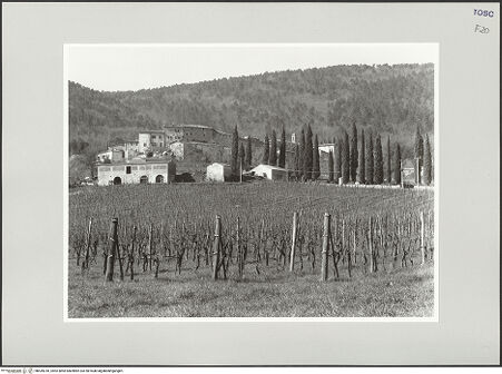 Vorderseite von bh539018_recto