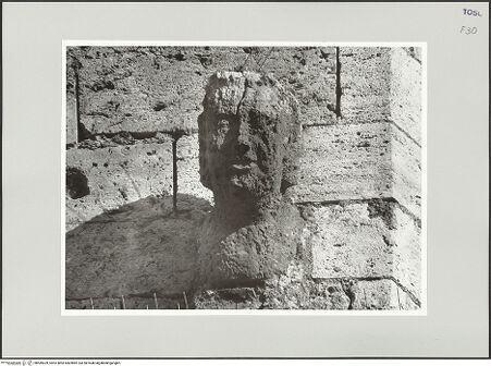 Vorderseite von bh539029_recto