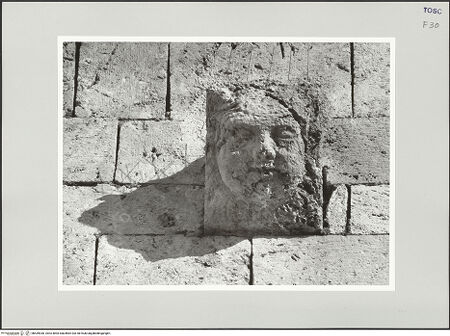 Vorderseite von bh539030_recto