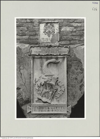 Vorderseite von bh539151_recto