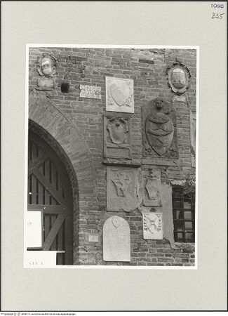 Vorderseite von bh539172_recto