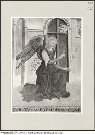 Vorderseite von bh539176_recto