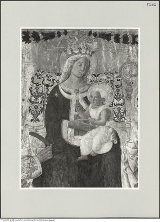 Vorderseite von bh539489-01_recto