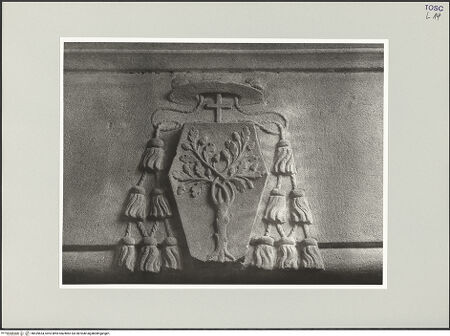 Vorderseite von bh539654_recto