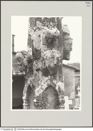 Vorderseite von bh539696_recto