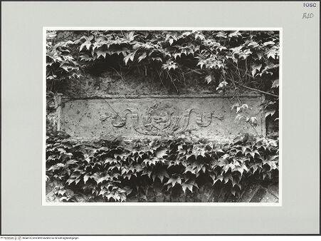 Vorderseite von bh540105_recto