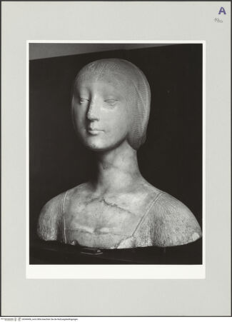 Vorderseite von bh540406_recto