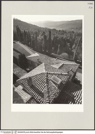 Vorderseite von bh540519_recto