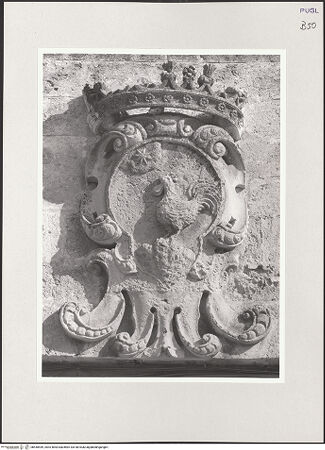 Vorderseite von bh540549_recto