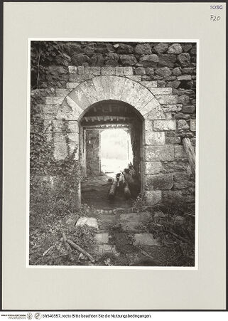 Vorderseite von bh540557_recto