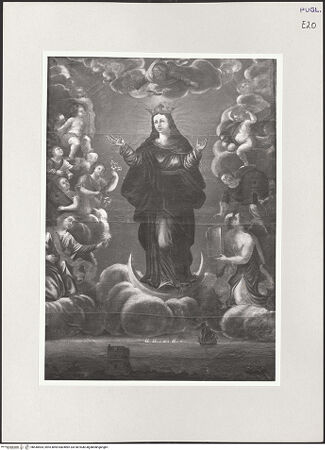 Vorderseite von bh540564_recto