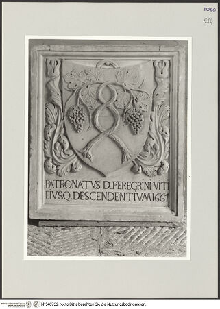 Vorderseite von bh540732_recto