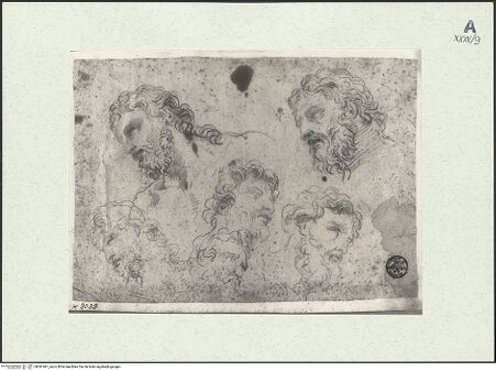 Vorderseite von bh541461_recto