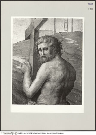 Vorderseite von bh541466_recto