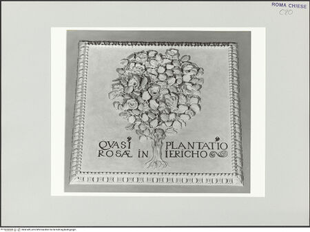 Vorderseite von bh541489_recto