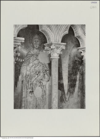 Vorderseite von bh541599_recto