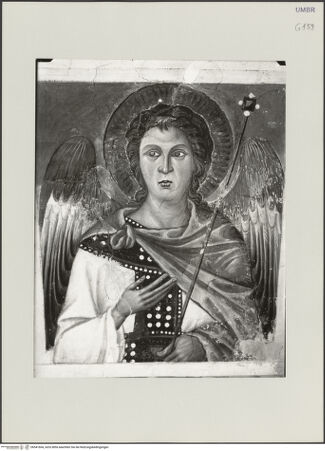 Vorderseite von bh541604_recto