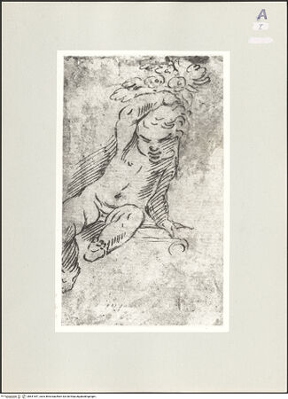 Vorderseite von bh541647_recto