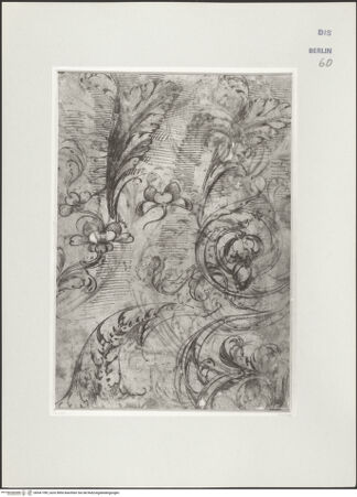 Vorderseite von bh541789_recto