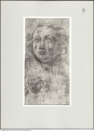 Vorderseite von bh541965_recto