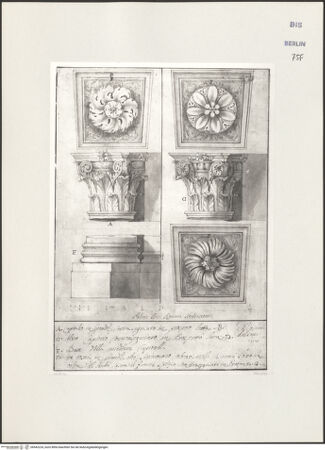 Vorderseite von Kunstbibliothek Berlin [http://creativecommons.org/publicdomain/mark/1.0/] Säulenkapitelle, Säulenbasis und Rosetten von San Carlo alle Quattro Fontane in Rom - , bh542224_recto. Foto.