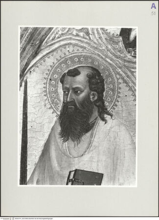 Vorderseite von bh542791_recto