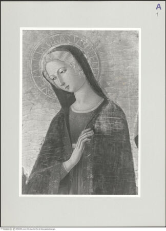 Vorderseite von bh542829_recto